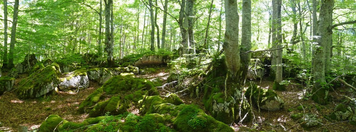 Gainaldea, lapiazak hartuta