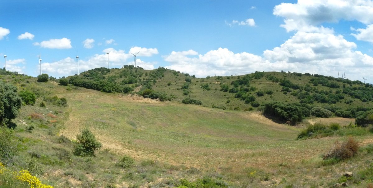 Ikuspegia Herrerico eta Txutxu alderantz