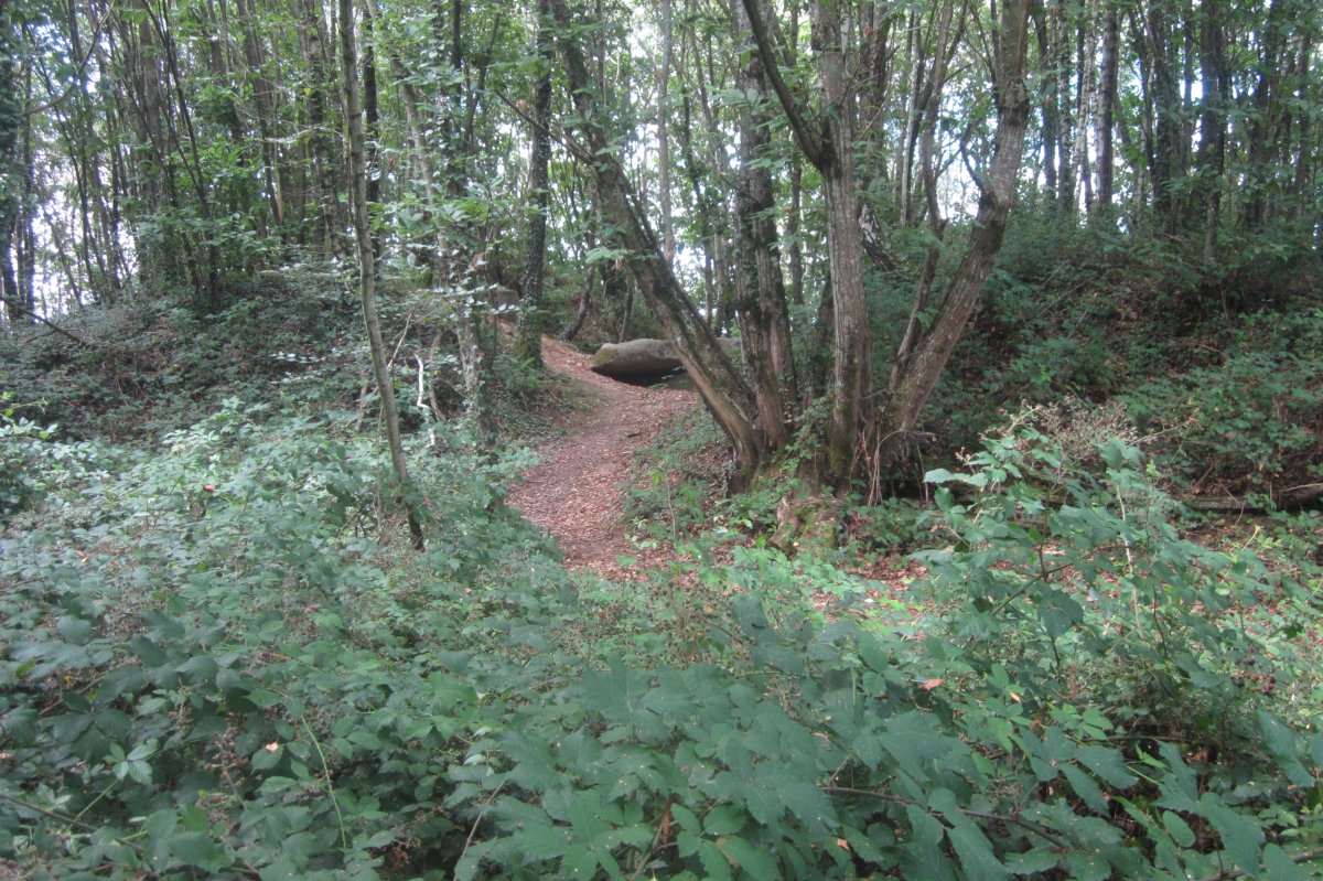 Dólmen Pouey Majou (Julio 2020)