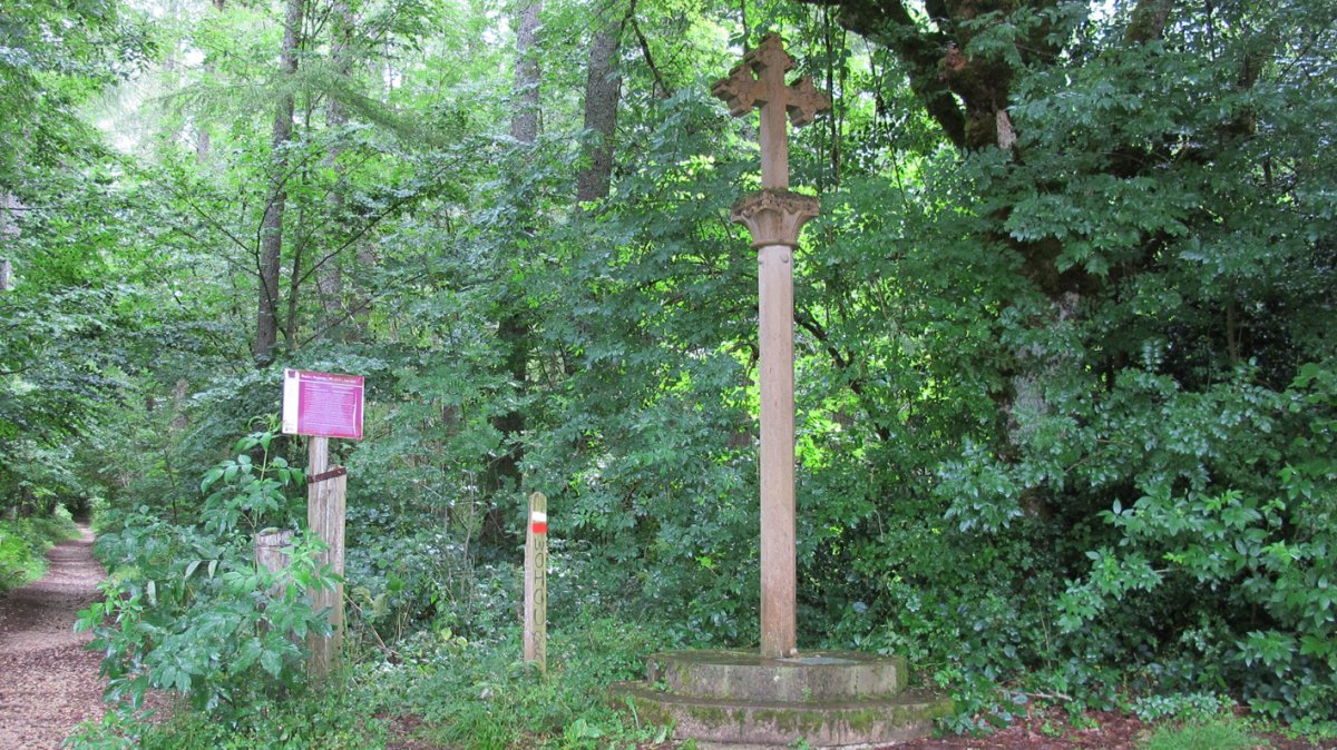 Gurutze Zuria, Orreaga