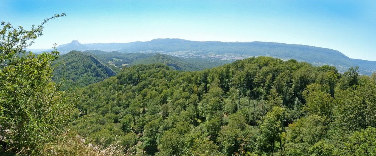 Sakanako paisaiak, Arbotonetatik