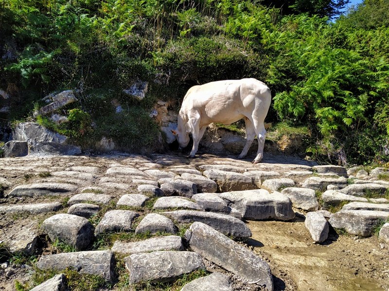 Baxautziturri Iturria Urbasan
