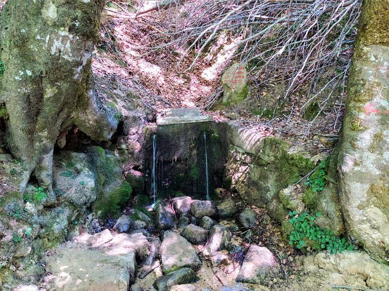 El Arenal Iturria Urbasan