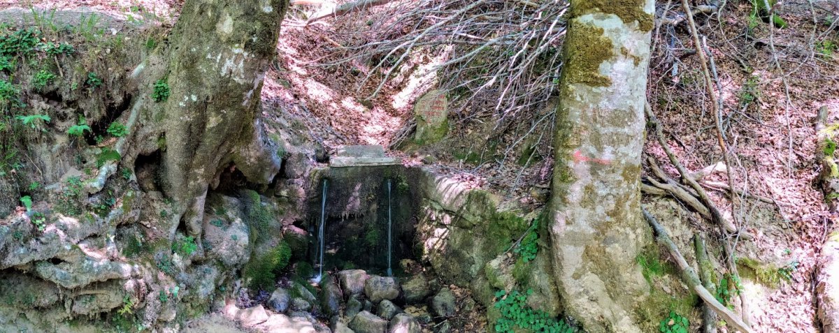 El Arenal Iturria Urbasan