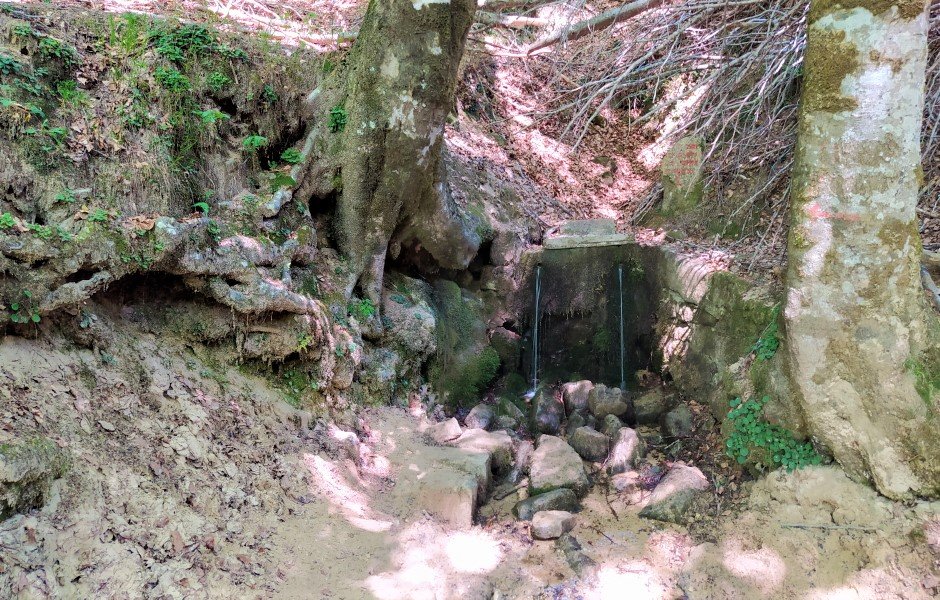 El Arenal Iturria Urbasan