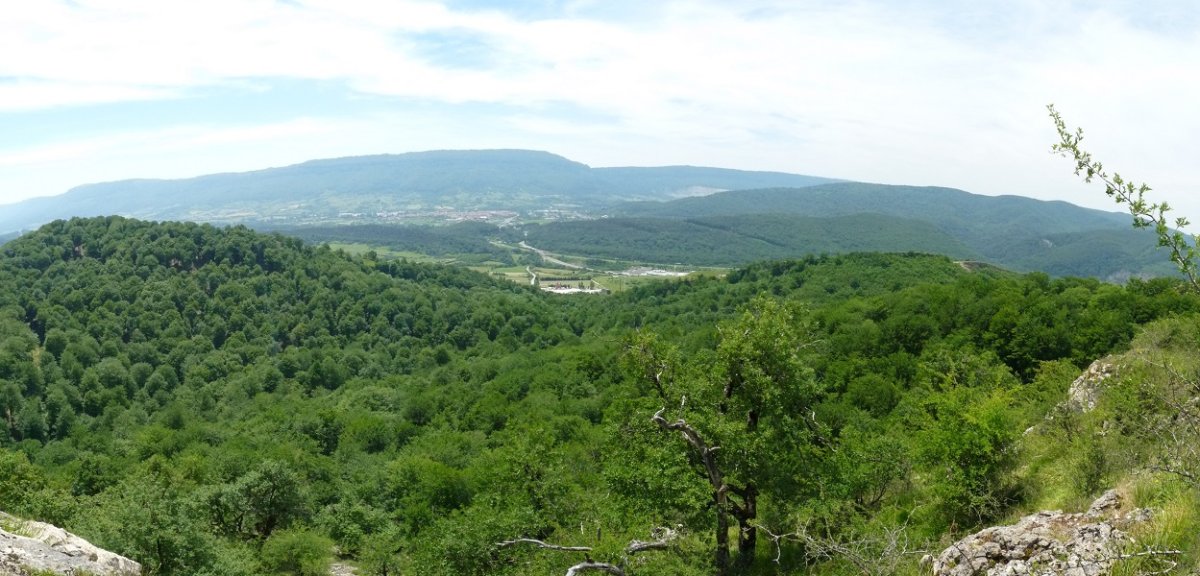 Altsasu inguruko paisaia Arbotonaunditik