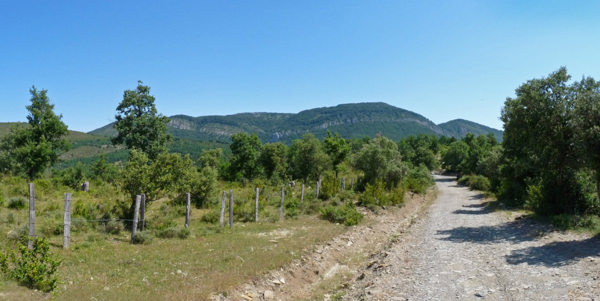 Elkoaz eta Arizkuren arteko pista