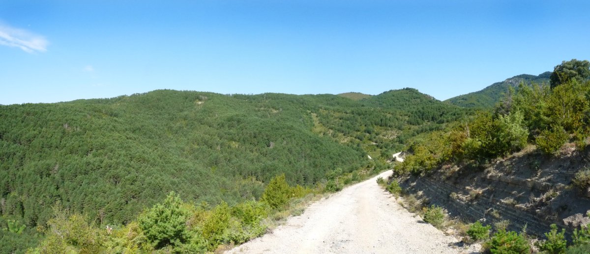 Lerdenzko gainak pistatik