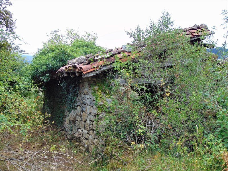 Andra Mari Ermita Araotz Auzoan