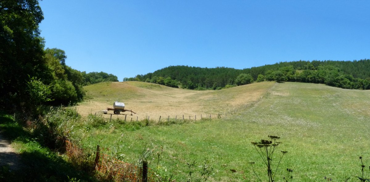 Aizkodi eta Ollargain arteko larreak