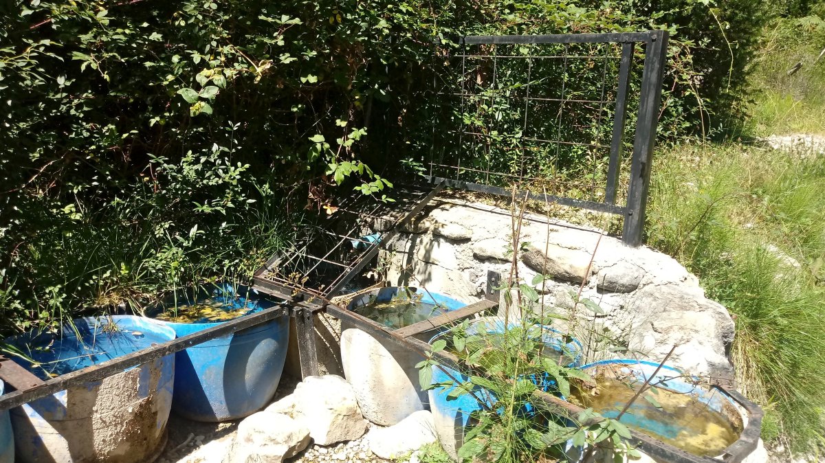 Zapiturri iturria Zarandona erreka ondoan