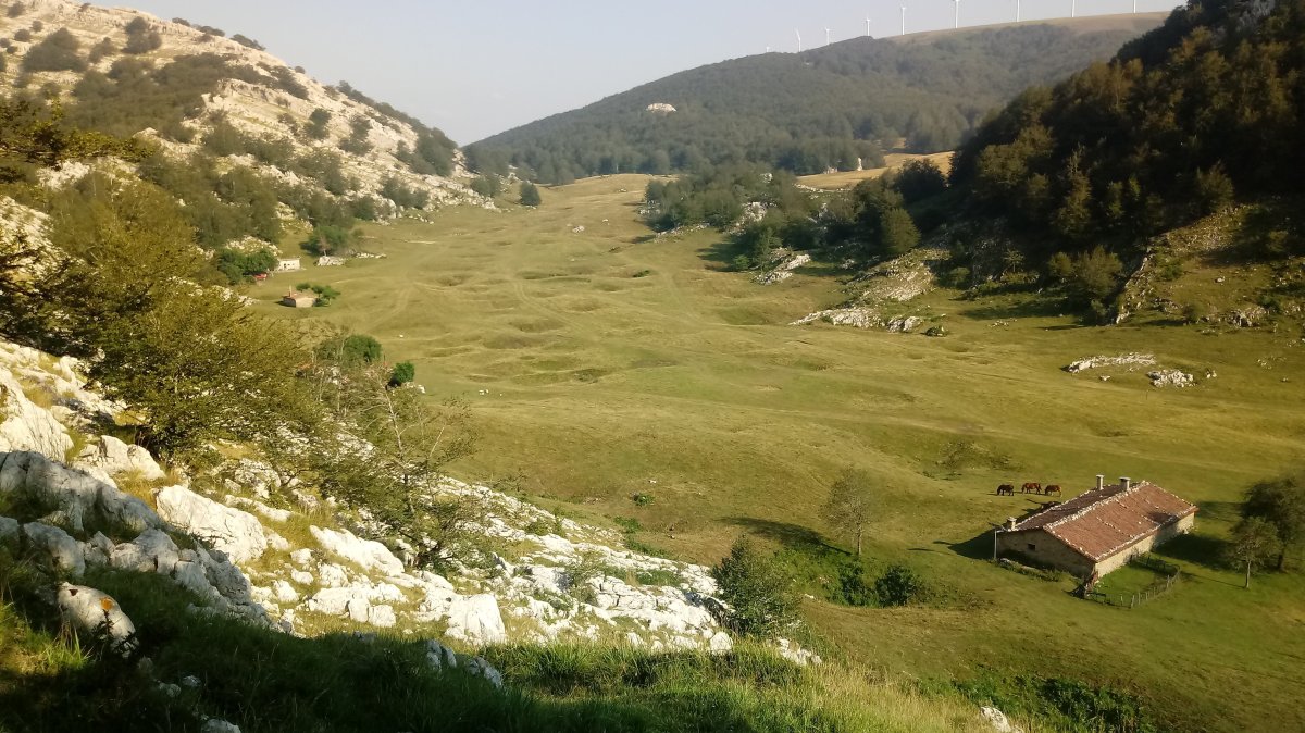 Degurixa, zelaia eta bordak