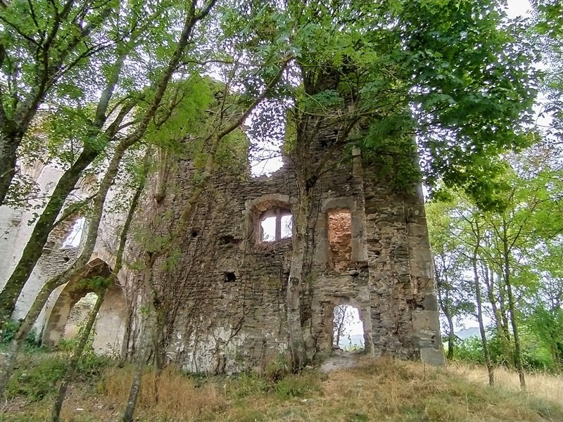 Asuncion Eliza Nafarraten