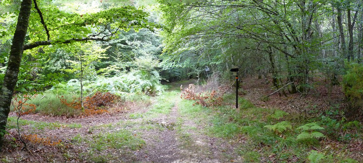 Bidegurutzea Beunzako bidean