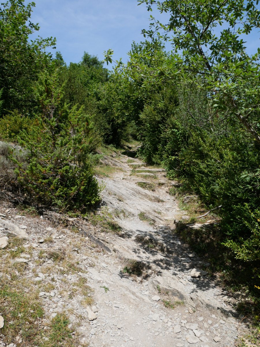 SL-NA-55 bidezidorra Garaioatik gora