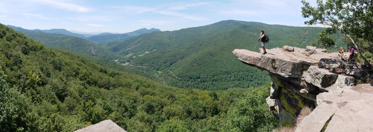 Zamariarin begiratokia