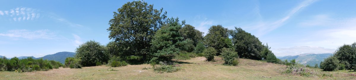 Txanagra tontorra hegoaldetik