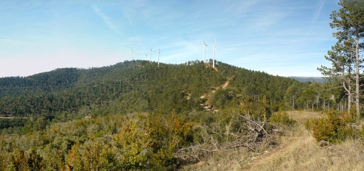 Kalaberagain, Eltzate gainetik