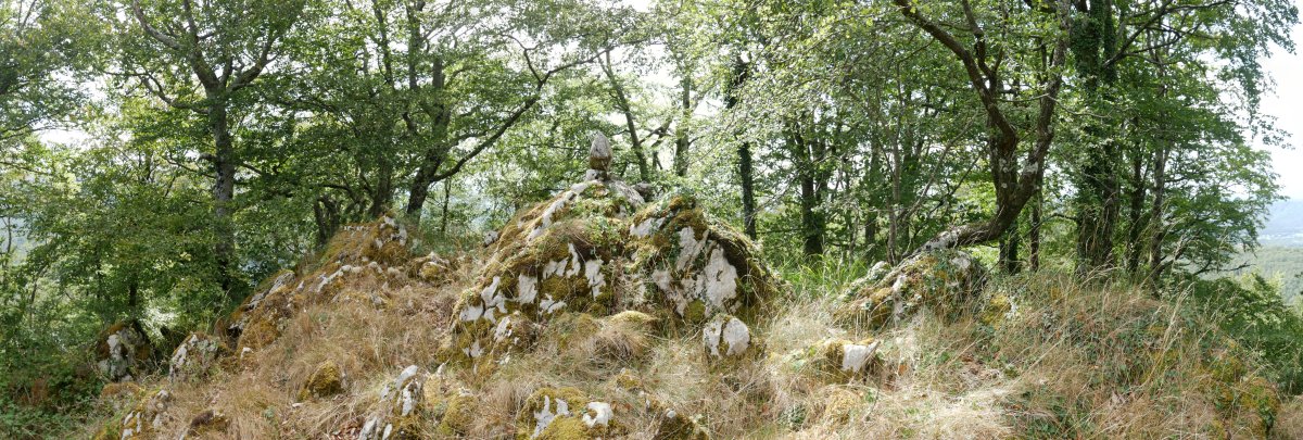 Arrizorrotz tontorra