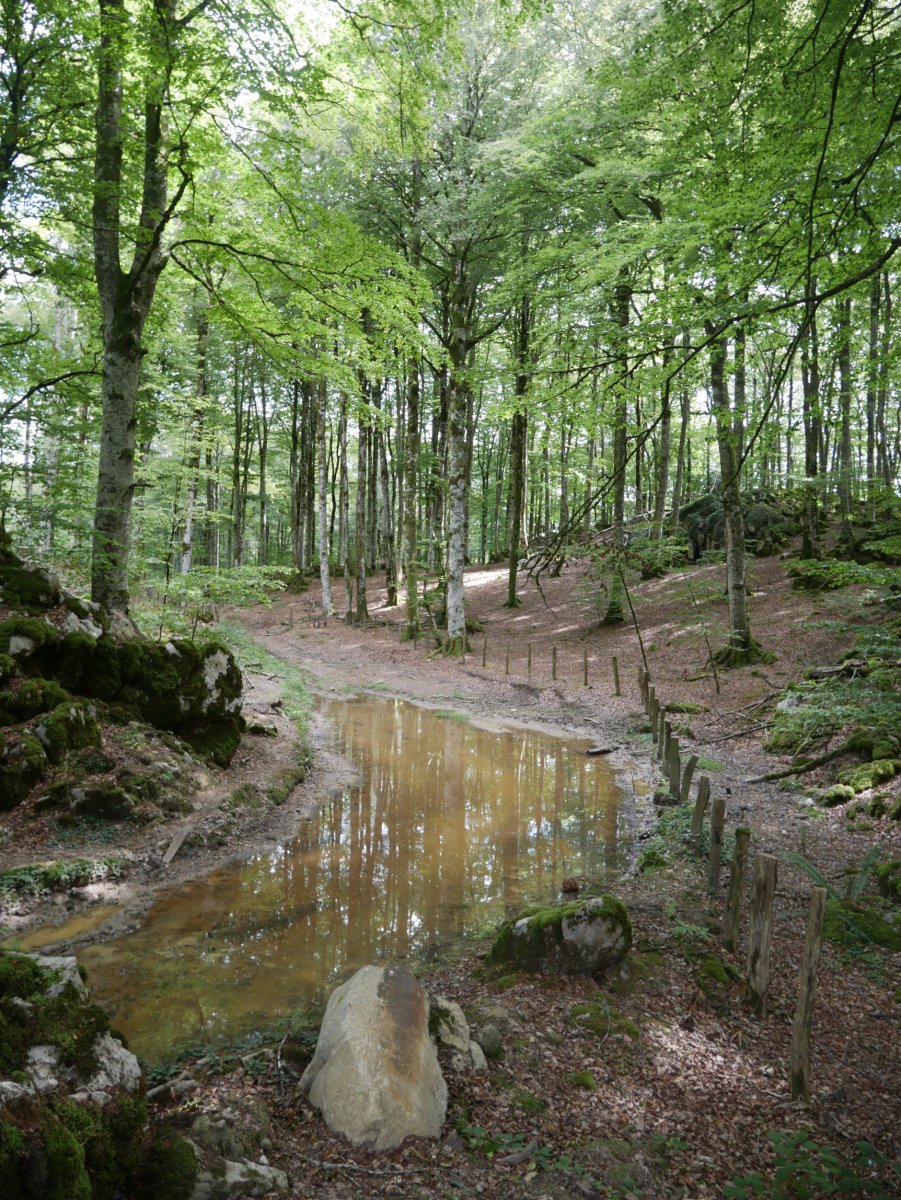 Arrizorrotz eta Alaketa arteko lepoko panoramika