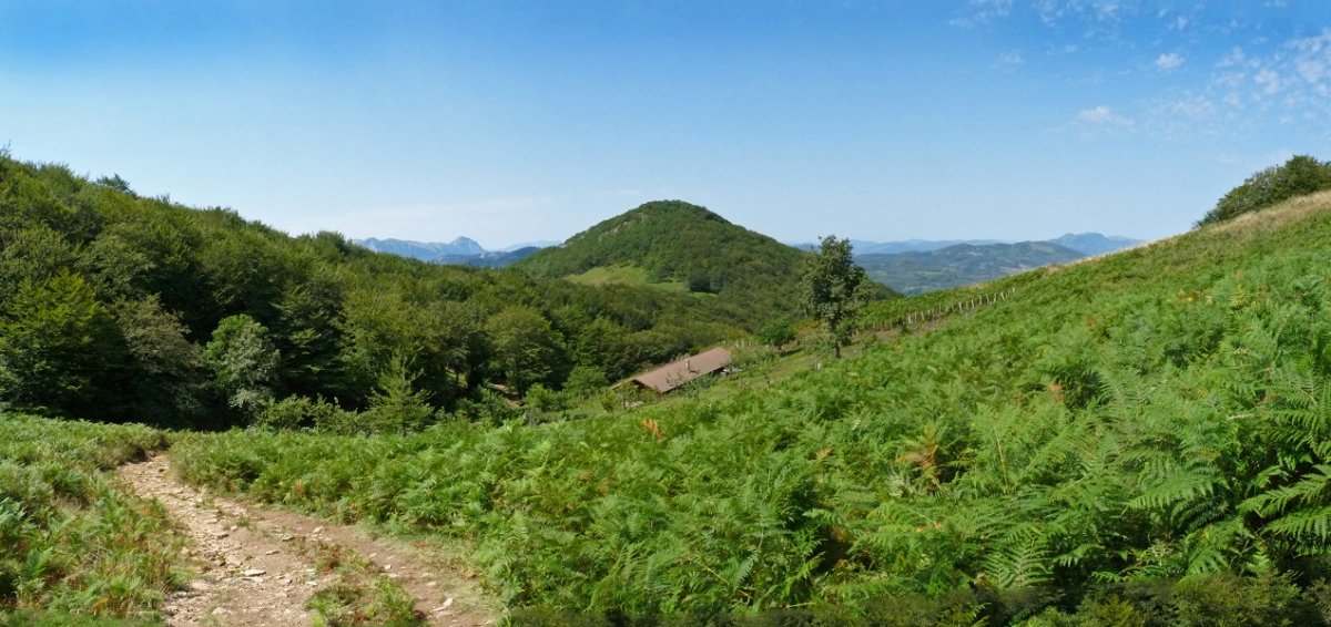 Arramia, Biuztaingo lepotik