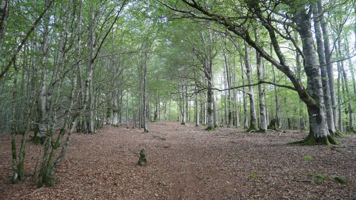 Igoera Hegoaldeko bizkarrean gora