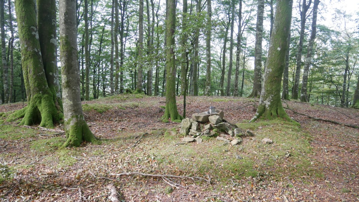 Gailurra eta txartelontzia