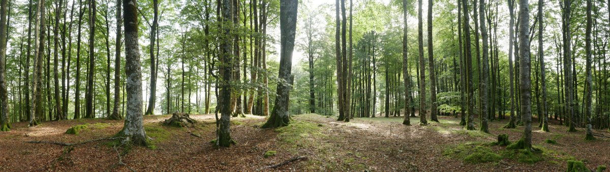 Gailurreko panoramika