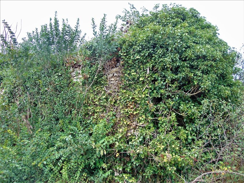 Santa Katalina Ermita Mataukoko Hilerriaren Hondakinak