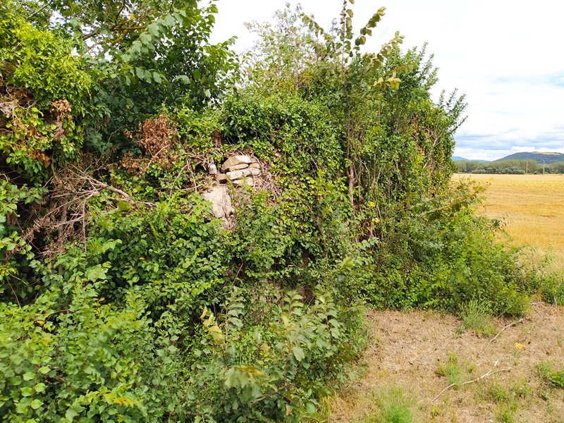 Santa Katalina Ermita Mataukoko Hilerriaren Hondakinak