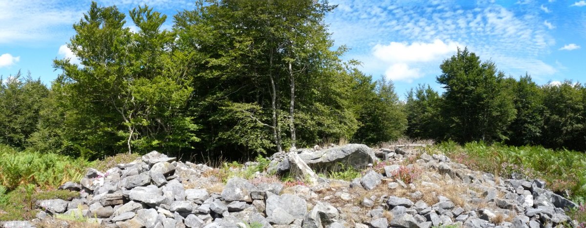 Harrobiganako gailurreko trikuharria