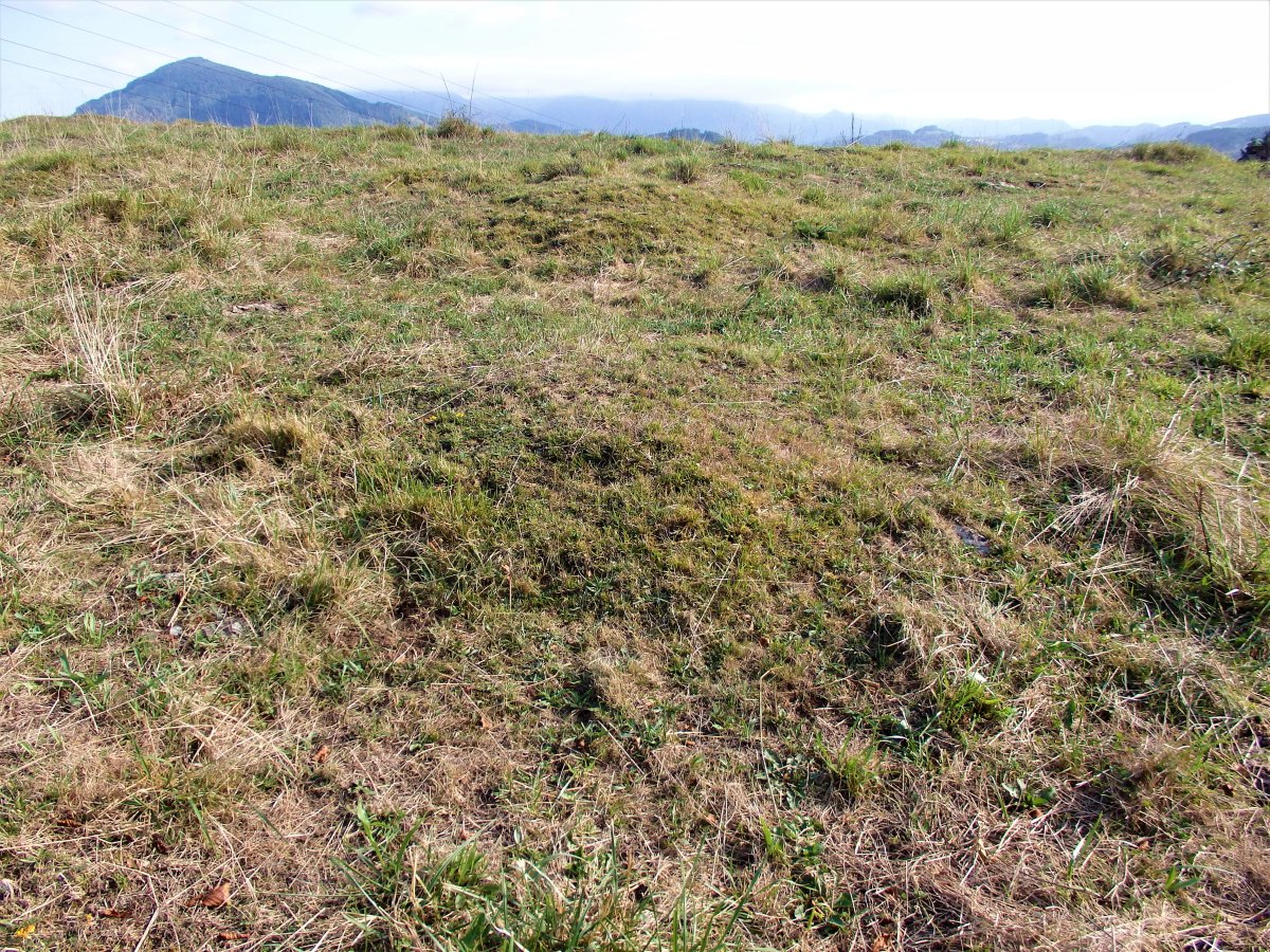 ALTZUSTABERRI V campo tumular