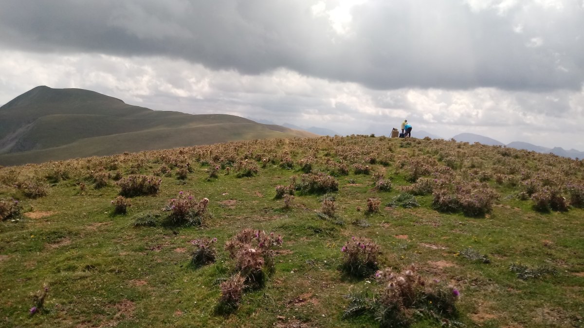 Gaztarri-Mulidoi (1732m) tontorraldea, Otsogorrigaña atzean