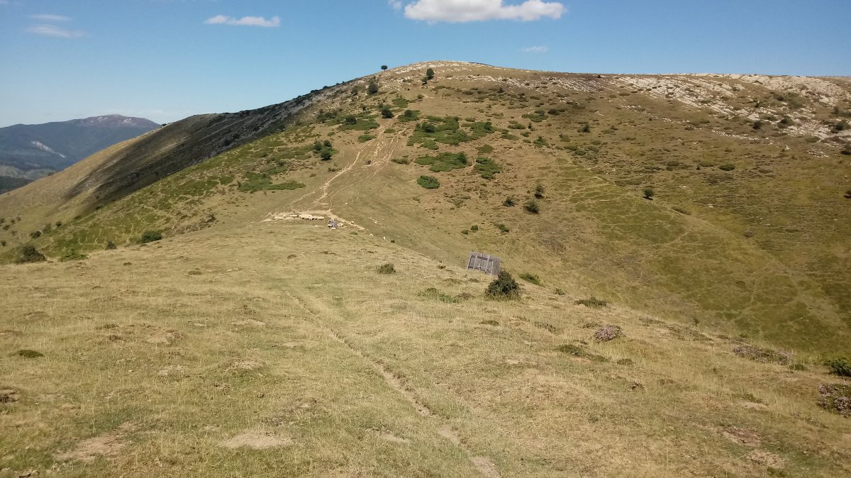 Auztarri (1412) hegoko lepotik