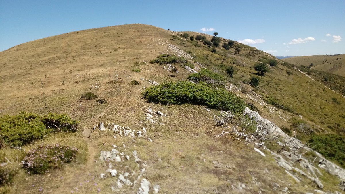 Auztarri (1412) mendebaldeko gandorra