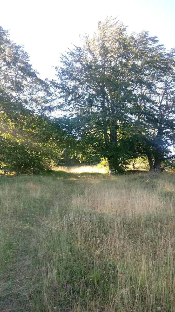 Harri Eder Gaina (1175m) igoera