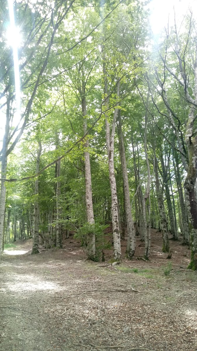 Mozolo (1243m) igoera