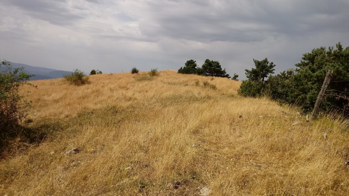 Brakola (1368m) gainaldea