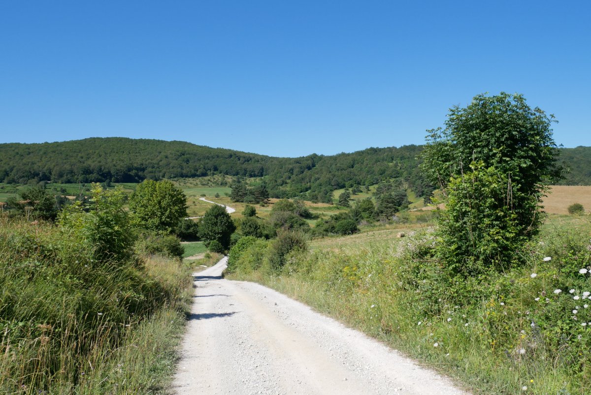 Abaurregainatik doan bidea