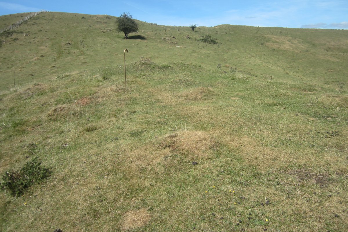 Cromlech Arluxe  (Agosto 2020)