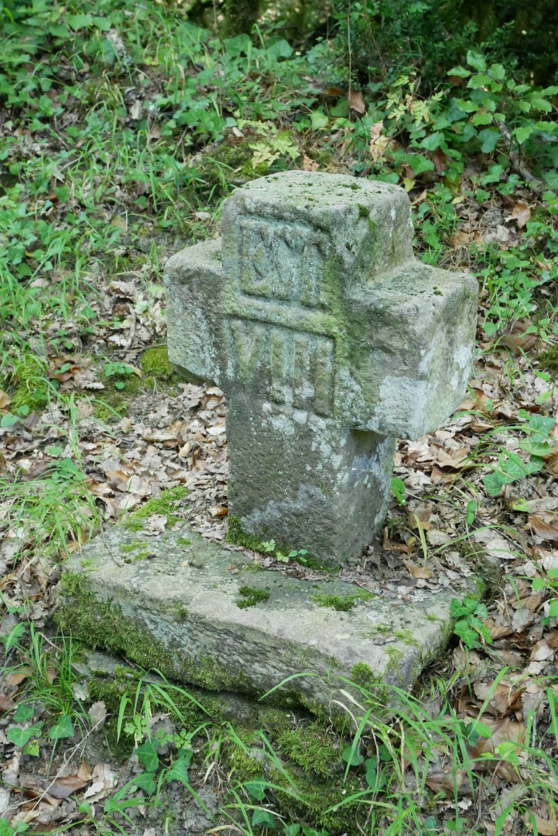 Andra Mari Zuria. galbarioko gurutzea, Jaurrieta