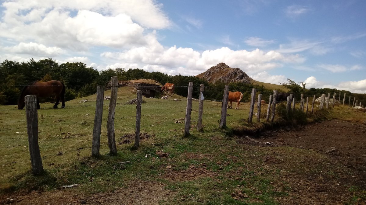 Arritxipi (1139m) tontorra eta bunkerra ondoan