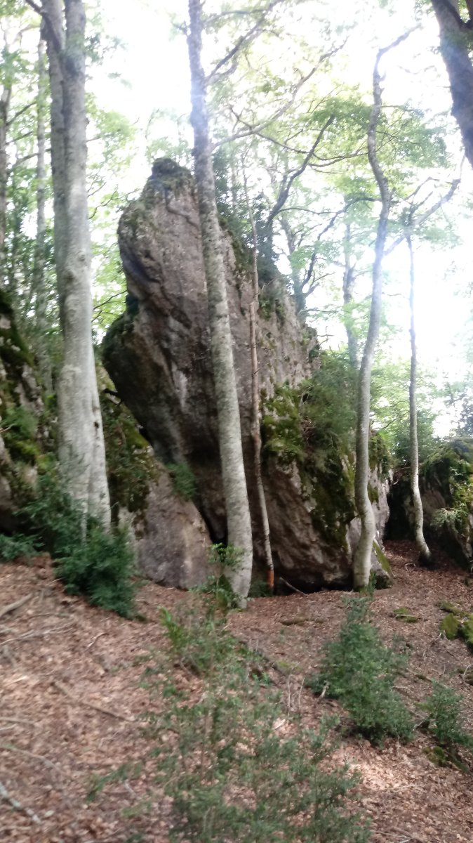 Araxamendi (1338m) tontorraldea