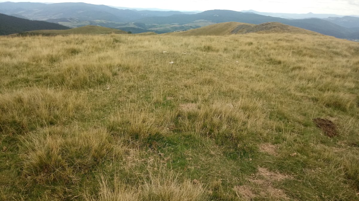 Astobizkar I. tumuloa (2020)