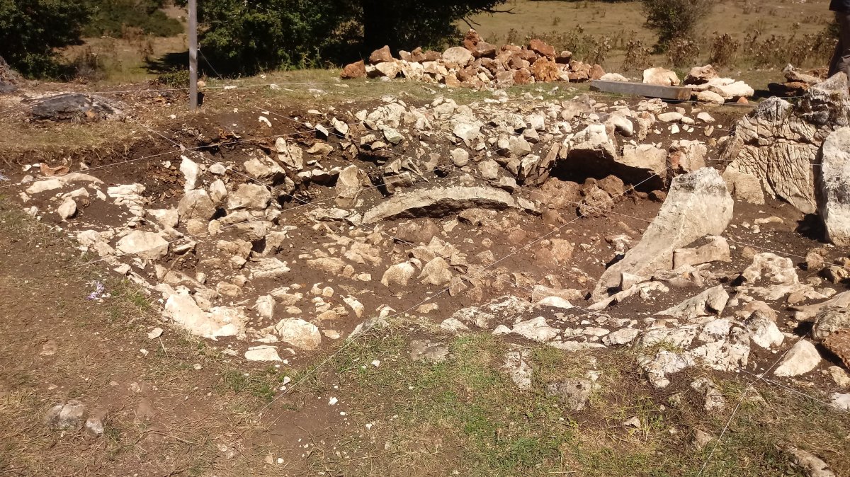 Legaire H trikuharria