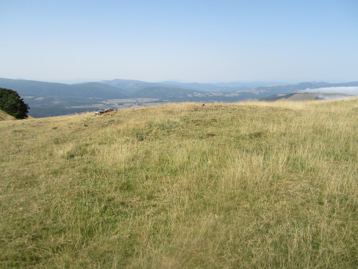 Túmulo Lepoeder  (Agosto 2012)