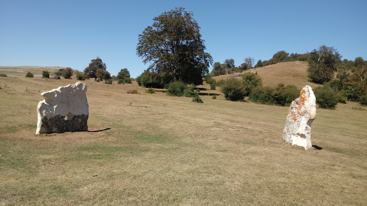 Legaire 1 eta 2 zutarriak