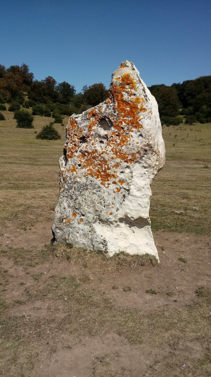 Legaire 1 (M) zutarria