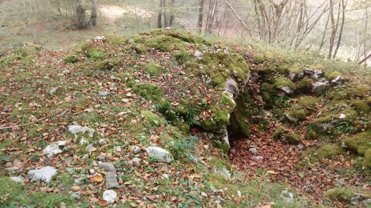 Ziñeko Gurutze trikuharria