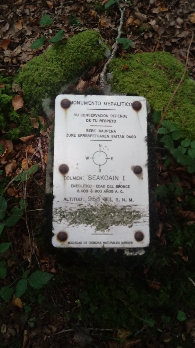 Seakoain I trikuharria